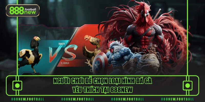 Đá Gà 3 Người chơi dễ chọn loại hình đá gà yêu thích tại 888NEW