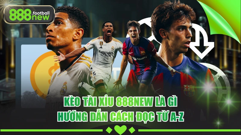 Kèo Tài Xỉu 888NEW - Hướng Dẫn Cách Đọc Trong Cá Độ Bóng Đá 2 Kèo Tài Xỉu 888NEW Là Gì - Hướng Dẫn Cách Đọc Từ A-Z